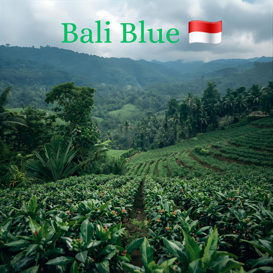 Balance Is Key Coffee - Bali Blue
