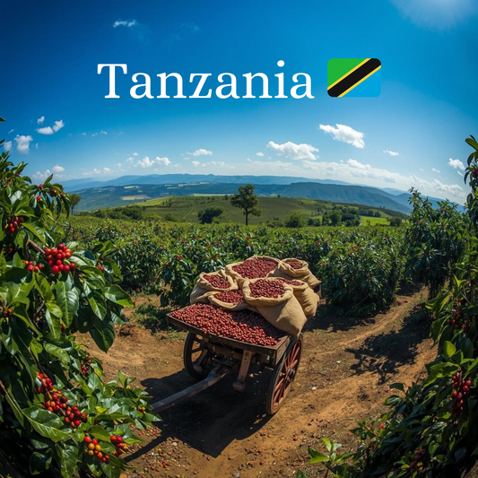 Balance Is Key Coffee - Tanzania